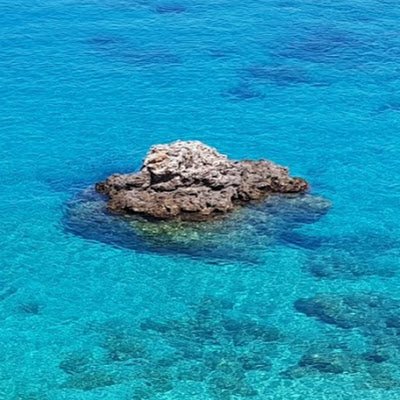 AndreiPelin77's profile picture. 