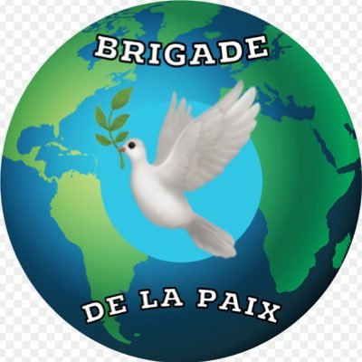 News Internationales 🌍 Informations Constructives 👍🏼 Remise hebdomadaire du Prix de la Paix 🕊 • « D’un pôle à un autre »
