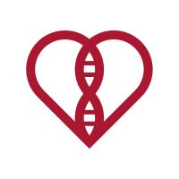 Non-coding RNA in the cardiovascular system (@trr267) 's Twitter Profile