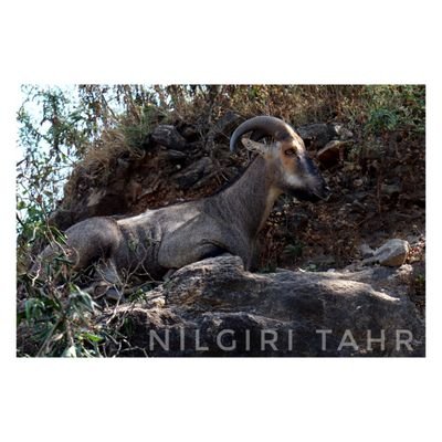 SureshkrisnSsk's profile picture. Medico