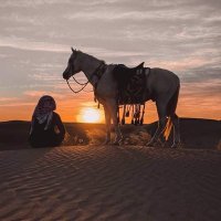 سلطان 🇸🇦 (@toqether_s) 's Twitter Profile