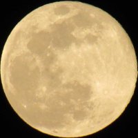 chika (@chika__modoki) 's Twitter Profile