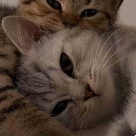 hanvmv's profile picture. 