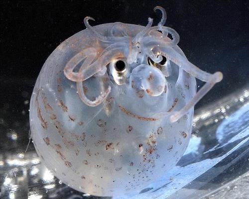 johnnoleary4's profile picture. Searching for what I need to help me form my own opinion.