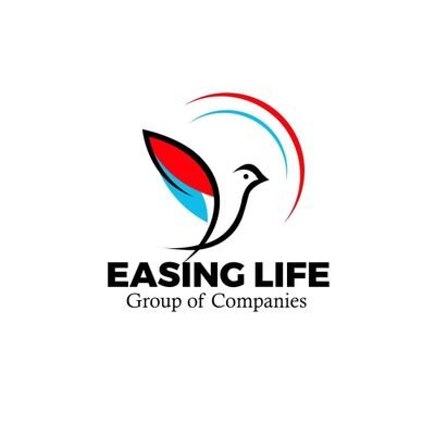 Easing Life Group of Companies we are into; Live streaming, Laundry service,Cafe & Printing service,Online Registration, Training forex trading &cryptocurrency.