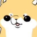 柴犬みなとさんのプロフィール画像