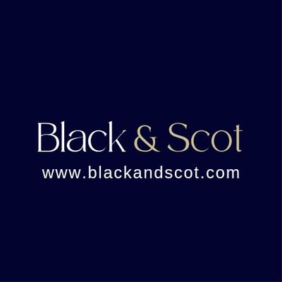 Black and Scot promotes black excellence through equity and technology initiatives #digitalinclusion #cybersecurity #career #blacktech