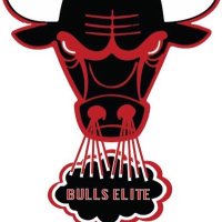BULLS Elite (@bullselite2) 's Twitter Profile