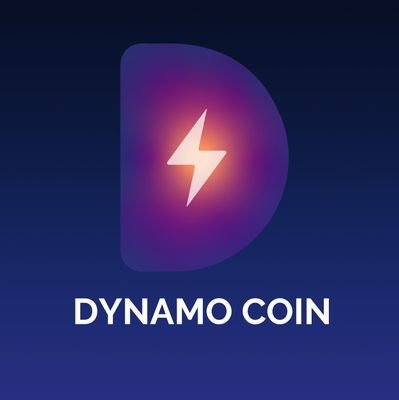 Dynamo Foundation Profile