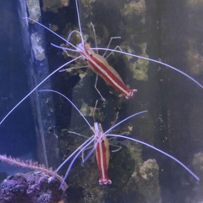 apogon06's profile picture. 