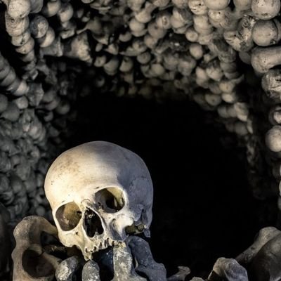 PRVRT5's profile picture. NERD/NOLIFE/WHITE TRASH/WESTERN PROUD/DEVIANT MUSIC FAN