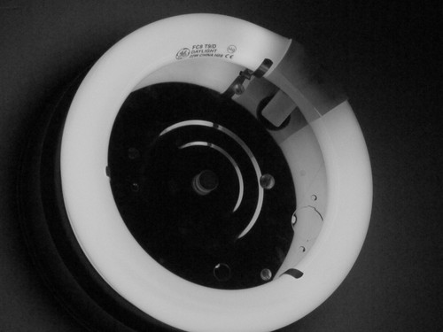 Affilmlm's profile picture. I promote products that are top rated and make money.