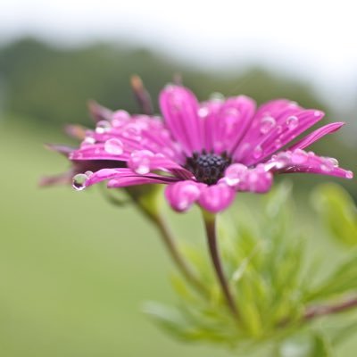 gen_e_vie_ve's profile picture. Coffee. Science. Truths.