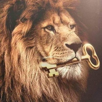 JoAnTZ0's profile picture. Derecha siempre. Pro Vida siempre. Creyente siempre.