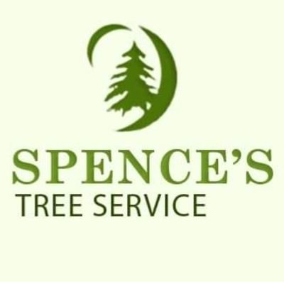 Southern Maryland Tree Service Experts!