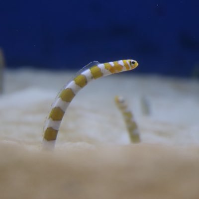 Vegasport3's profile picture. 埼玉 /27歳/スポーツ観戦