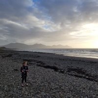 Dave Williams 💙 (@drwilli59) 's Twitter Profile