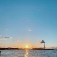 宇美ちゃん (@ljyudnwigi4zysx) 's Twitter Profile Photo