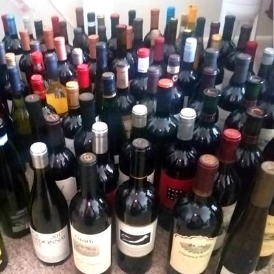 Kenneth Tucker, WSET 2
Grape Grower🍇, Wine Importer🍾, Small Batch Winemaker🍷.
Favorite Regions : Napa, Ríaxas Baixas, Colchagua & Middleburg
