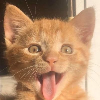 Limonnnnum's profile picture. 