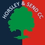 Horsley & Send Cricket Club Official Twitter. A local friendly cricket club providing opportunities to players of all ages and abilities. #HSCC