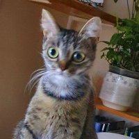 Te_o_dora (@te_od_ora) 's Twitter Profile Photo