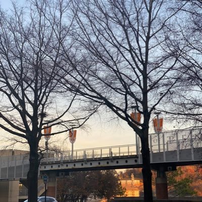 A mysterious UTK senior who’s tired of everyone’s shit