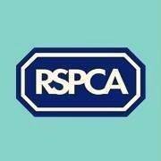 RSPCA Oxford(@RspcaO) 's Twitter Profile Photo