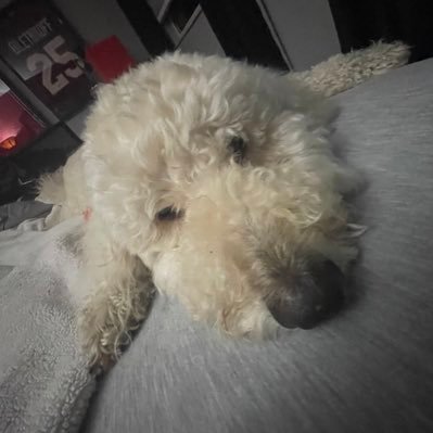 Samshulby's profile picture. 