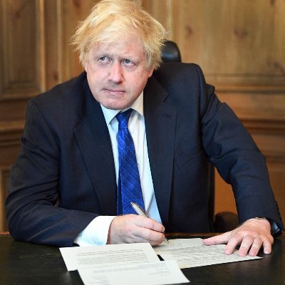 BackBoris2022's profile picture. pro Brexit pro Boris pro Reform - we need new electoral system, Proportional Representation - abolish House of Lords & Supreme Court - need elected 2nd chamber