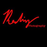 Brian Reding - @RedingPhoto Twitter Profile Photo