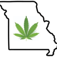 417Grown (@417grown) 's Twitter Profile