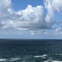 いこん (@konnichiwa0501) Twitter profile photo