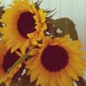 zaahra_ab's profile picture. ???