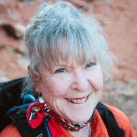 SHELLY POLLOCK - LION LIGHTS OUT NOW! (@shellyleap) 's Twitter Profile