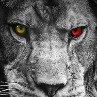 atilla akdaj (@aakdaj) 's Twitter Profile Photo atilla akdaj (@aakdaj) 's Twitter Profile Photo