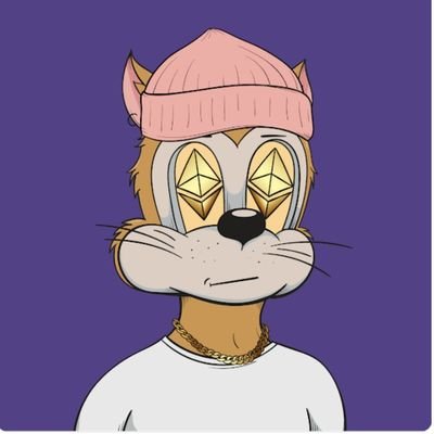 jackmarchese0's profile picture. 