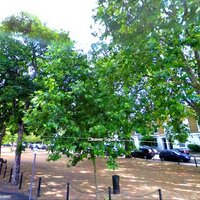 Cleaver Square (@cleaversquare) 's Twitter Profile
