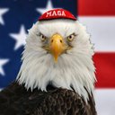 Jewish Patriot 🚛's avatar