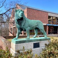 St. Mark's School Library(@SMLionsLibrary) 's Twitter Profile Photo