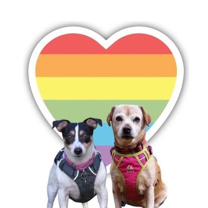 We are just 2 doggies that are loved by our mums who love to show us off