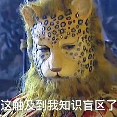 PythonMaster6's profile picture. 