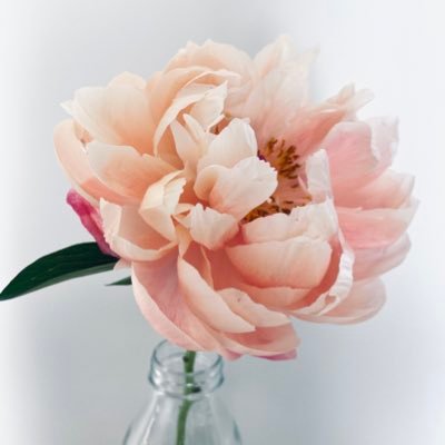 michellewysocki's profile picture. Orbsessed. Experiencer. Plant lover. Cloud lover. Liker↘️