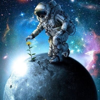 johnolando99's profile picture. 