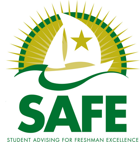 Peer Mentoring Program that aims to increase retention rates of all first year students through mentoring, social networking, and academic support.