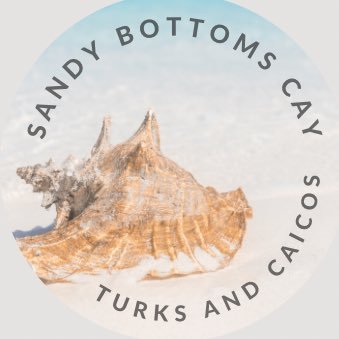 sandybottomscay's profile picture. Sandy Bottoms Cay; A charming Caribbean-inspired Oceanfront Penthouse Condo located in Turks and Caicos. 🌺🩵🐢🤿☀️🐚🌊👙🐬🪸🌴 ↓ BOOK YOUR STAY! ↓