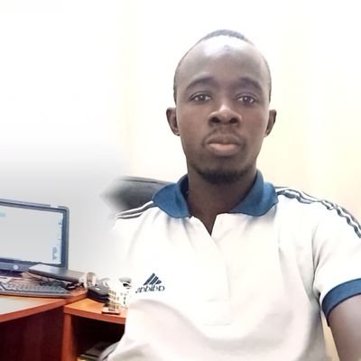 Amsinho1's profile picture. Économiste