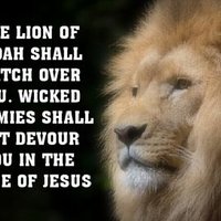 Ayobami (@joybami01) 's Twitter Profile