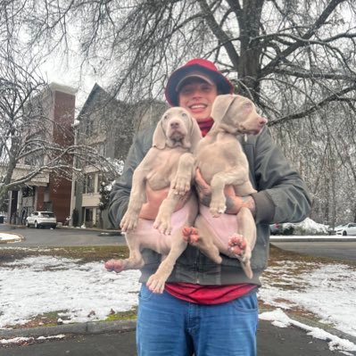 KodiakMack58's profile picture. Kodiak Kennels: Breeding, Training, Showing the top dogs in the game. American Bullies, German Shepherd, Cane Corso, Rottweiler, English and French Bulldogs