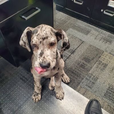 DDR521's profile picture. 